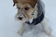 IMG-20210208-WA0001