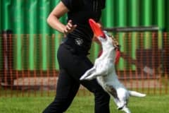 18105138586_0d74baf546_o