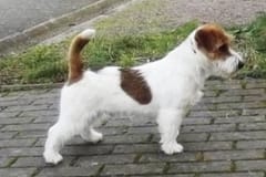 08-02-2014-bob_337_291