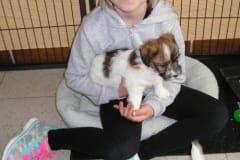 mira_welpen0000_002