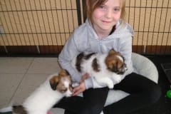 mira_welpen0000_003