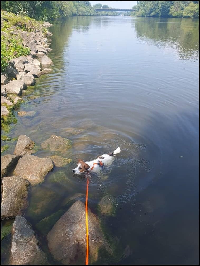 Messenger_creation_69F3AED8-4AF7-44F4-8861-C623497ECE5F