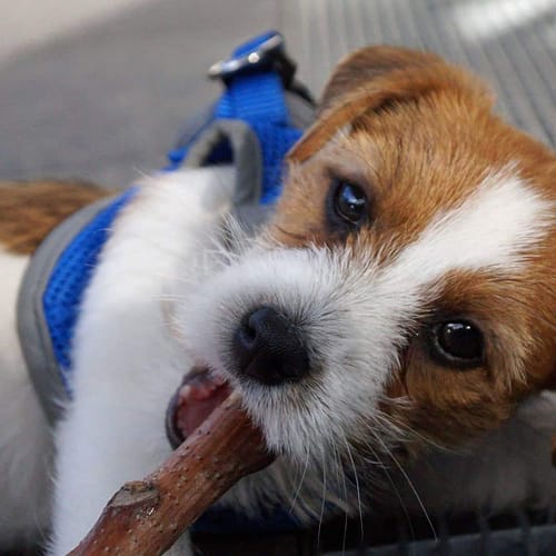 FB_IMG_1544474506175