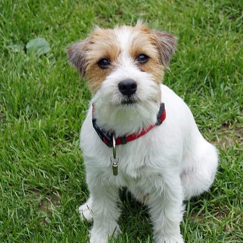 FB_IMG_1560844176980