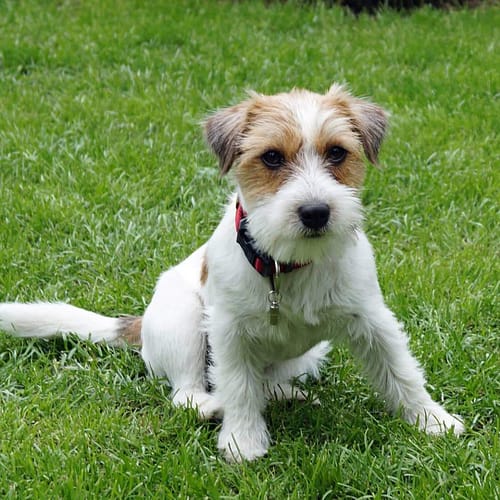 FB_IMG_1560844254465