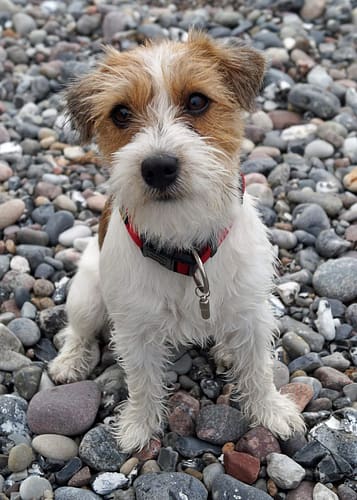 FB_IMG_1564433899068