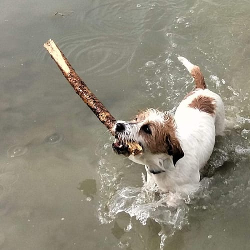 FB_IMG_1564433925624