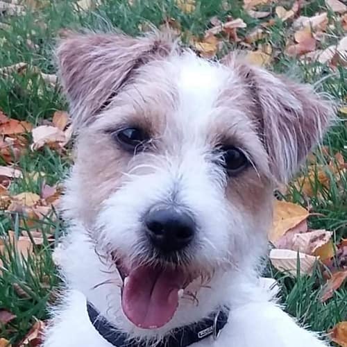 FB_IMG_1571601270895