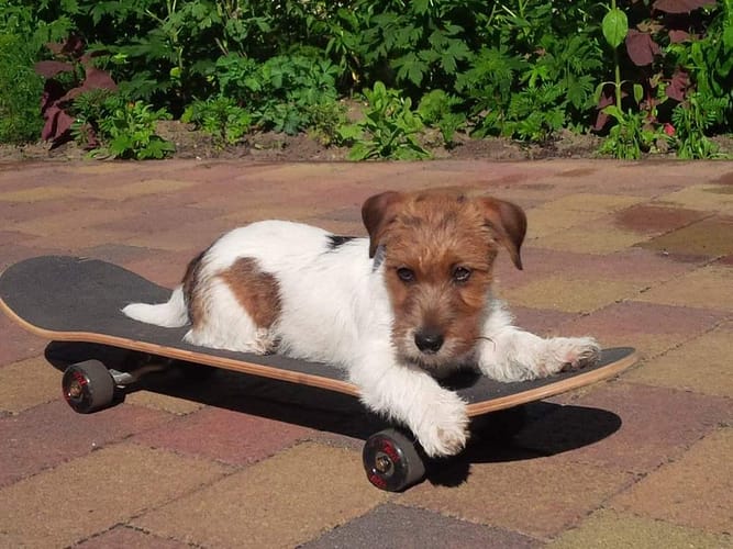 FB_IMG_1583575247795