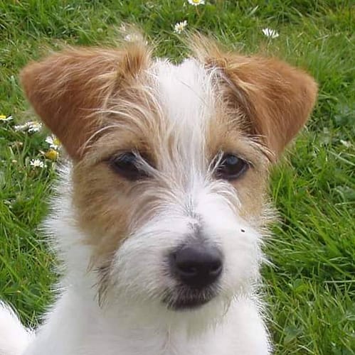 FB_IMG_1587873794392