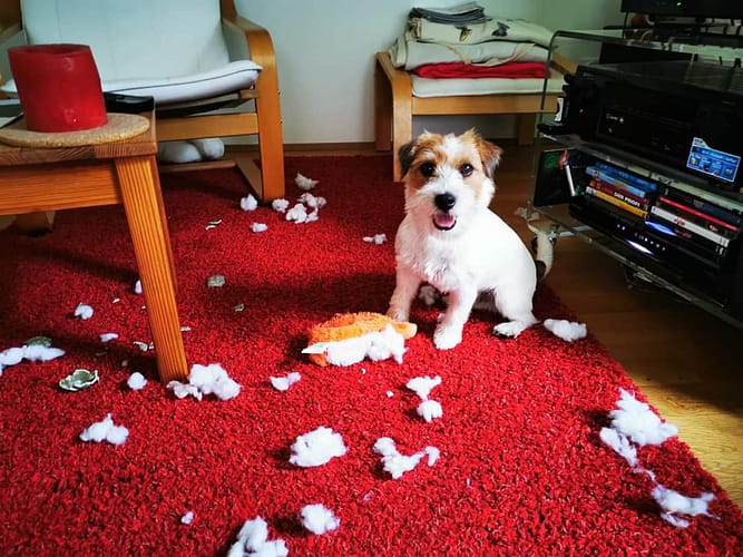 FB_IMG_1600632080857