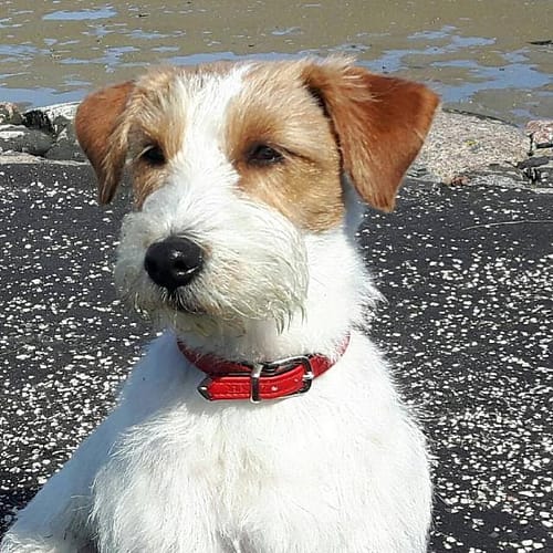 Jana-Olm-20190103_162200