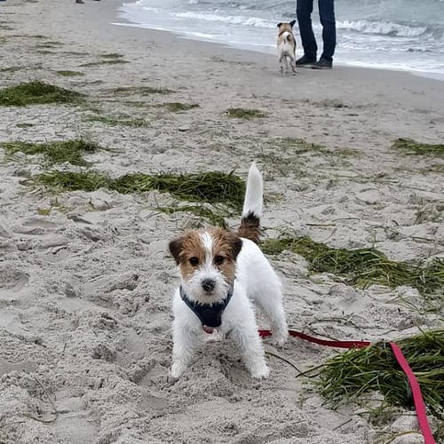 Nadine-Mueller-20181229_165826