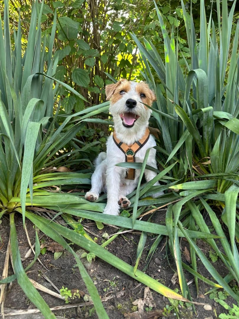 Messenger_creation_D318DAA2-FECF-4661-A541-A49002508379