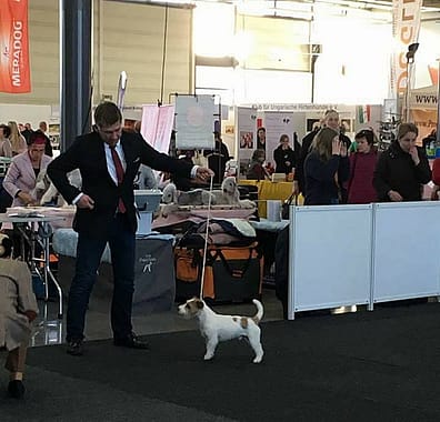 Doglive_5